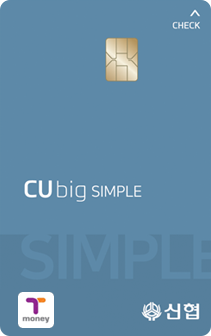 CUbig SIMPLE (티머니)